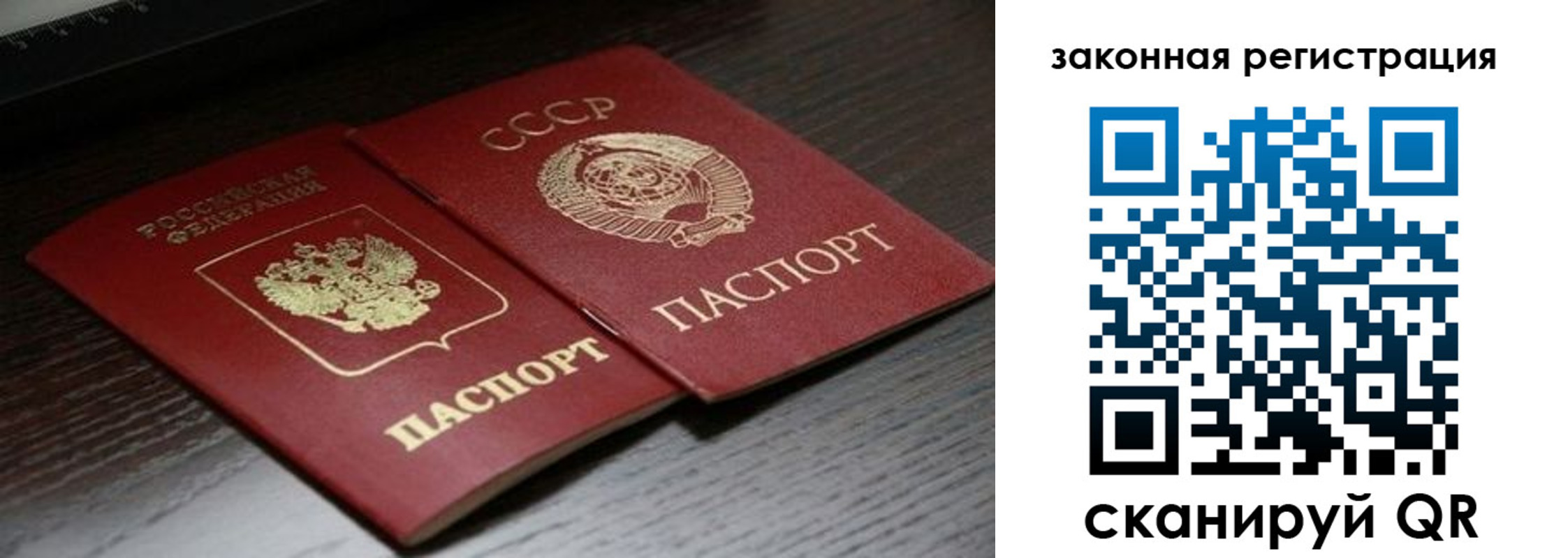 прописка поиск в Гусеве